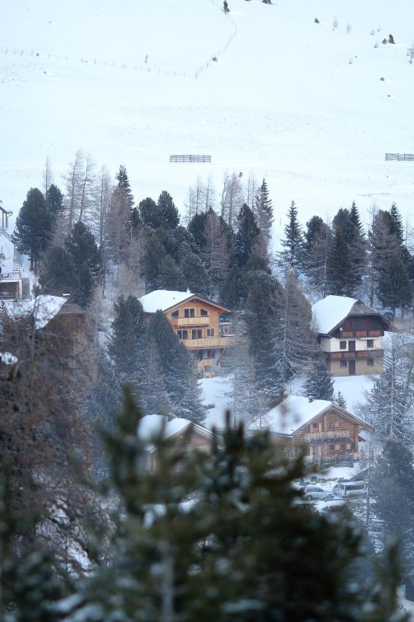 Heidi Chalets Falkert Heidialm - Chalet Almsommer Patergassen Kültér fotó