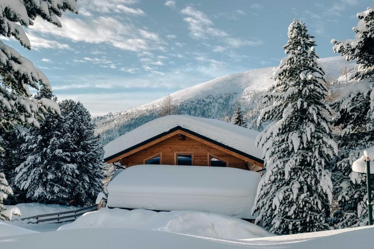 Heidi Chalets Falkert Heidialm - Chalet Almsommer Patergassen Kültér fotó